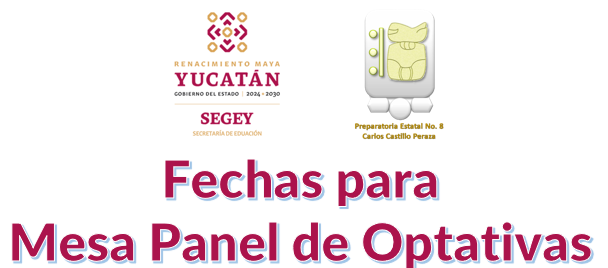 «Mesa Panel Optativas»